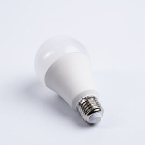 LED Ball Bulb Frosted