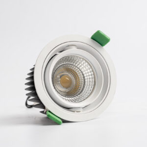 DOWN LIGHT 25W