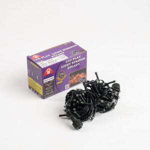 LED PLAY LIGHT STRING STEADY