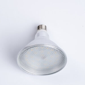 LED PAR 38 Light 15W