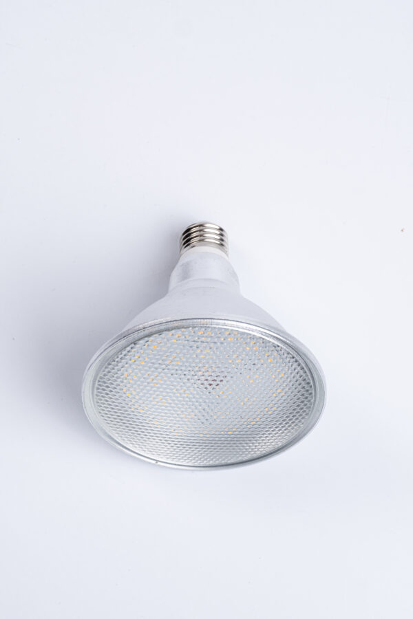 LED PAR 38 Light 15W